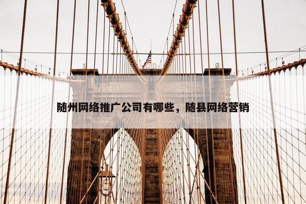 随州网络推广公司有哪些，随县网络营销