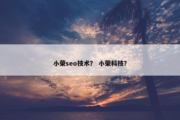 小荣seo技术？ 小荣科技？