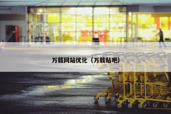 万载网站优化（万载贴吧）