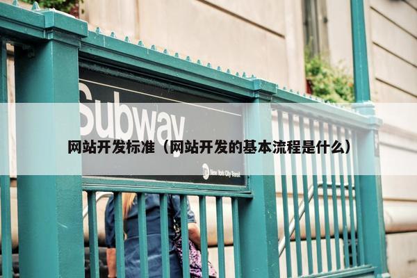 网站开发标准（网站开发的基本流程是什么）