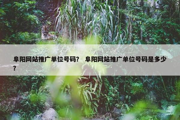 阜阳网站推广单位号码？ 阜阳网站推广单位号码是多少？