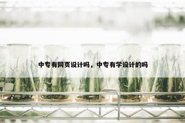 中专有网页设计吗，中专有学设计的吗