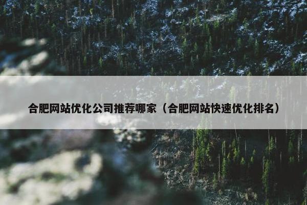 合肥网站优化公司推荐哪家（合肥网站快速优化排名）