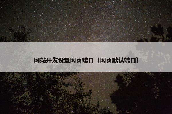 网站开发设置网页端口（网页默认端口）