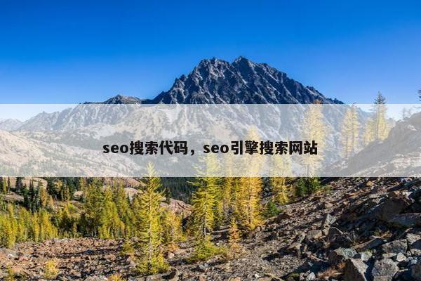 seo搜索代码，seo引擎搜索网站