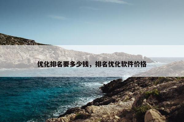 优化排名要多少钱，排名优化软件价格