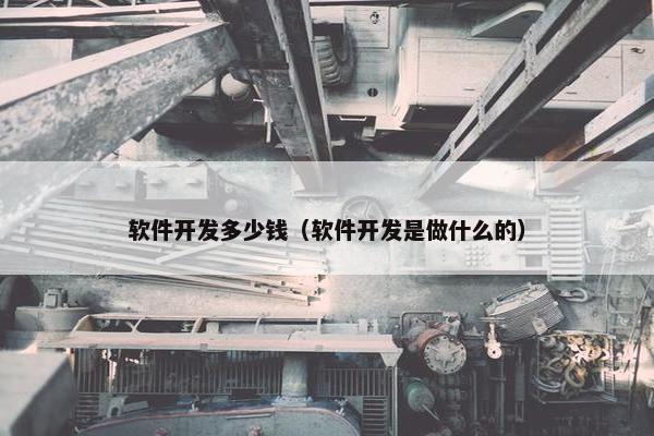 软件开发多少钱（软件开发是做什么的）