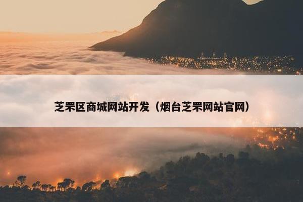 芝罘区商城网站开发（烟台芝罘网站官网）