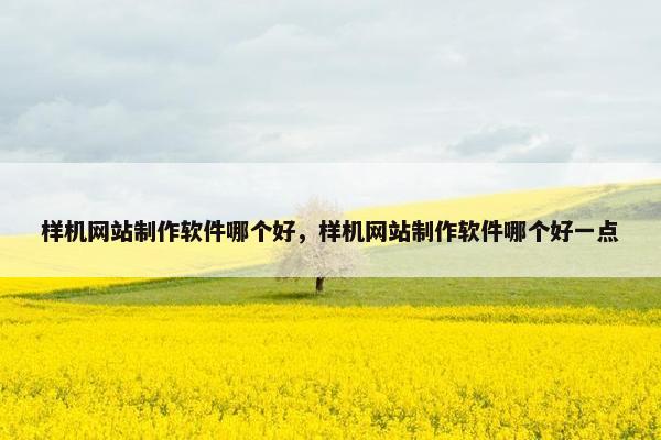 样机网站制作软件哪个好，样机网站制作软件哪个好一点