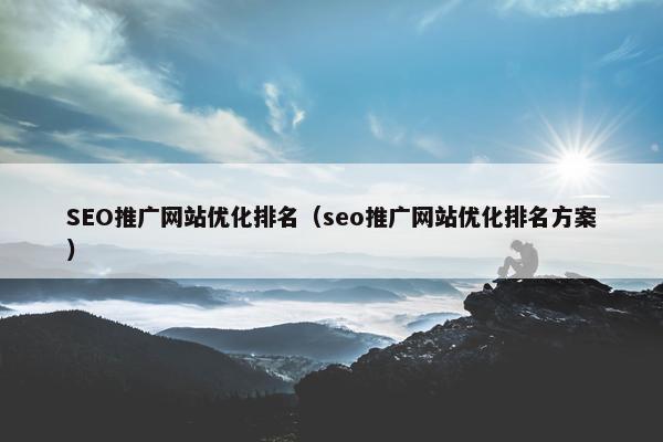 SEO推广网站优化排名（seo推广网站优化排名方案）