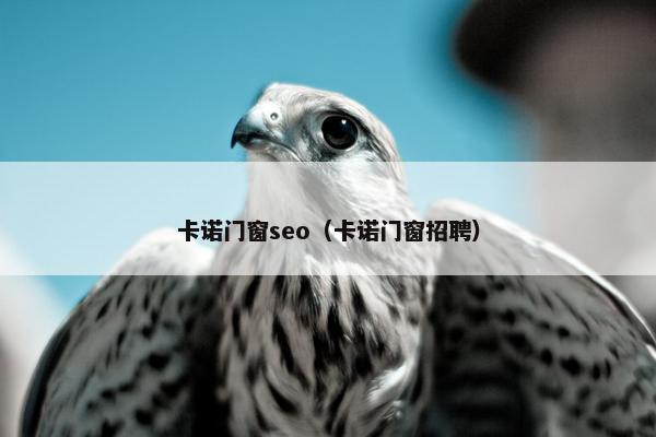 卡诺门窗seo（卡诺门窗招聘）