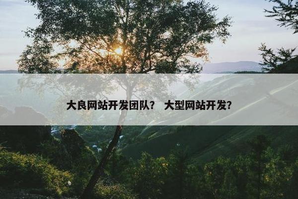 大良网站开发团队？ 大型网站开发？
