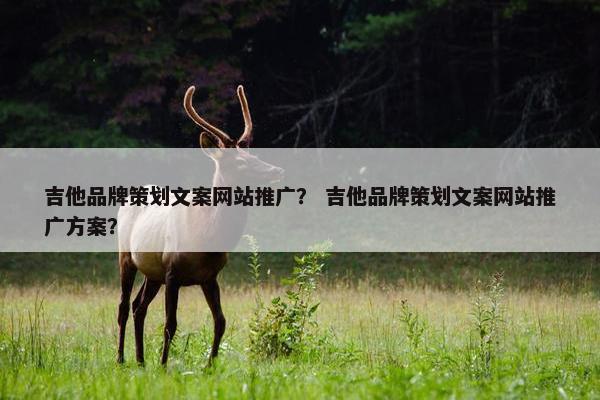 吉他品牌策划文案网站推广？ 吉他品牌策划文案网站推广方案？