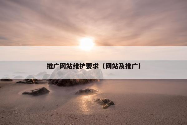 推广网站维护要求（网站及推广）