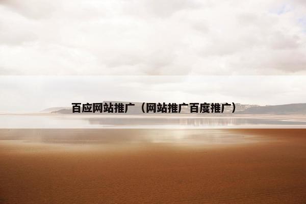 百应网站推广（网站推广百度推广）