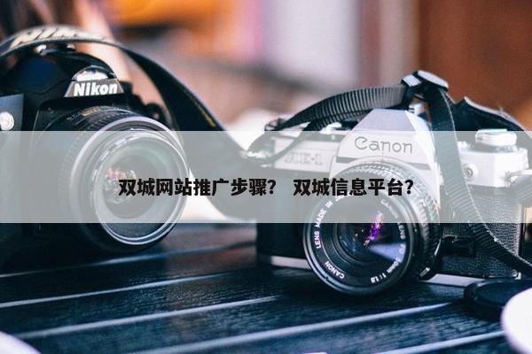 双城网站推广步骤？ 双城信息平台？
