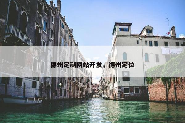 德州定制网站开发，德州定位
