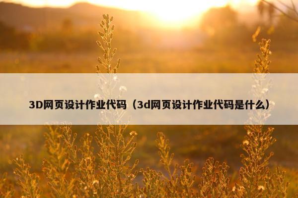 3D网页设计作业代码（3d网页设计作业代码是什么）