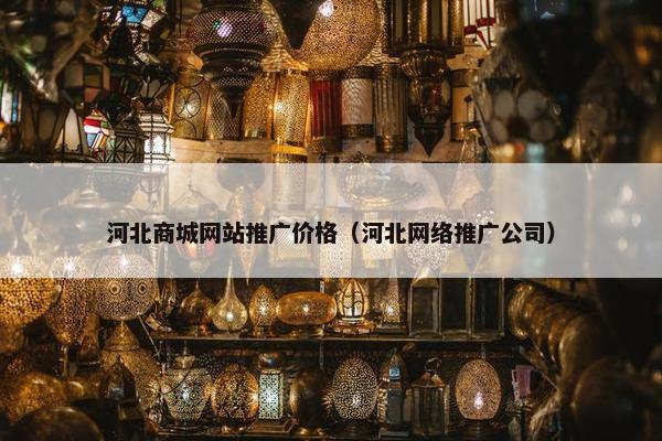 河北商城网站推广价格（河北网络推广公司）