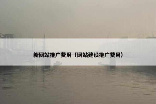 新网站推广费用（网站建设推广费用）