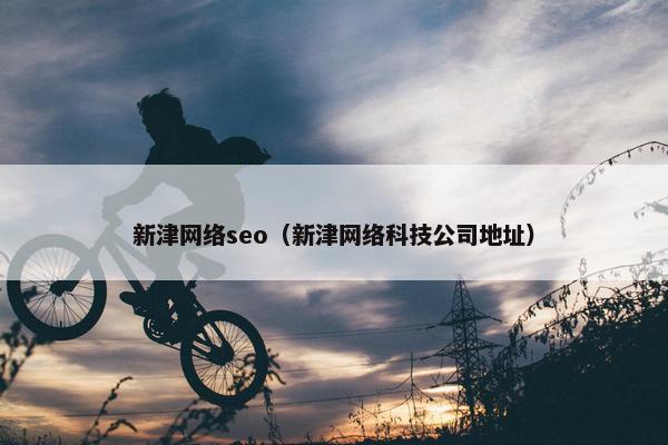 新津网络seo（新津网络科技公司地址）