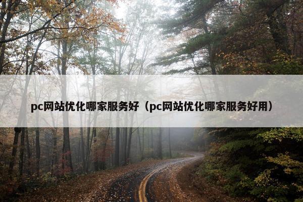 pc网站优化哪家服务好（pc网站优化哪家服务好用）