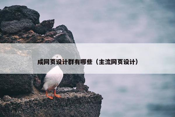 成网页设计群有哪些（主流网页设计）