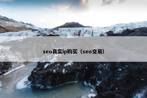 seo真实ip购买（seo交易）
