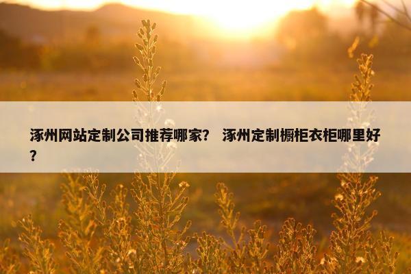 涿州网站定制公司推荐哪家？ 涿州定制橱柜衣柜哪里好？