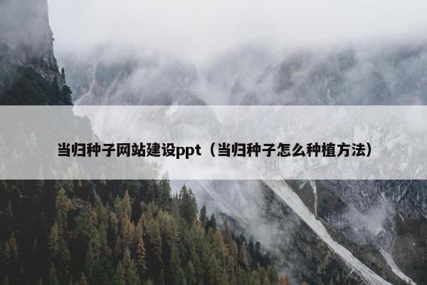 当归种子网站建设ppt（当归种子怎么种植方法）