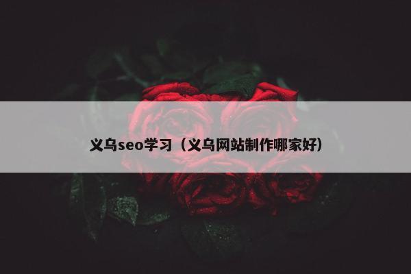 义乌seo学习（义乌网站制作哪家好）