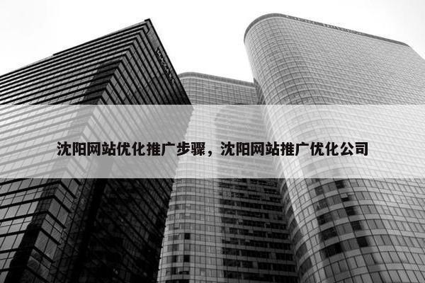 沈阳网站优化推广步骤，沈阳网站推广优化公司