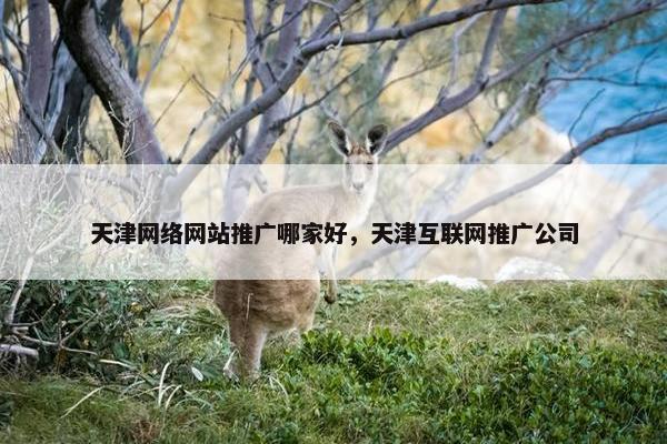 天津网络网站推广哪家好，天津互联网推广公司