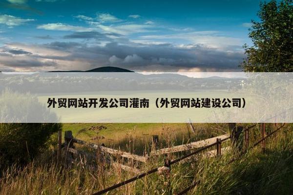 外贸网站开发公司灌南（外贸网站建设公司）