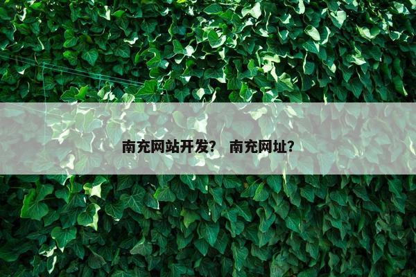 南充网站开发？ 南充网址？