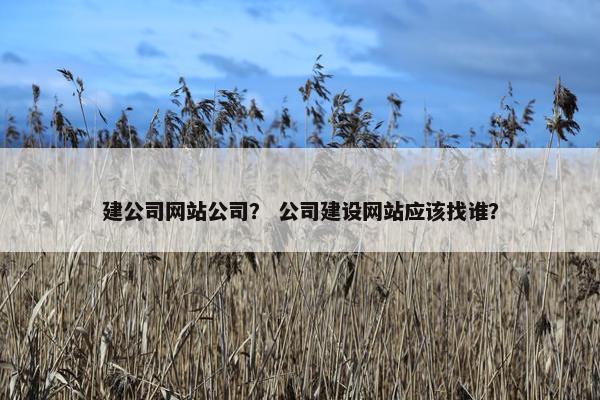 建公司网站公司？ 公司建设网站应该找谁？