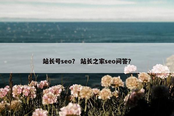站长号seo？ 站长之家seo问答？