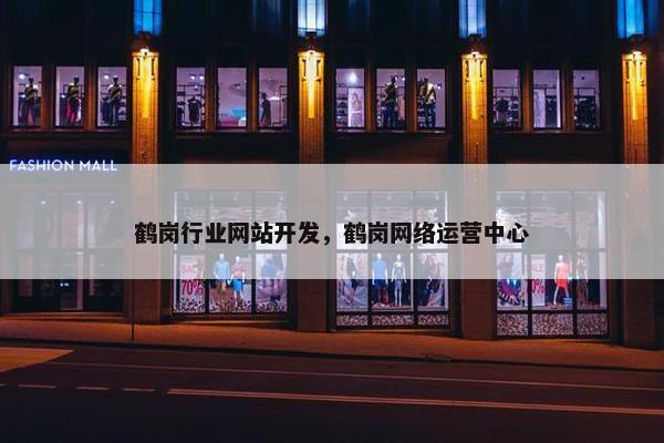 鹤岗行业网站开发，鹤岗网络运营中心
