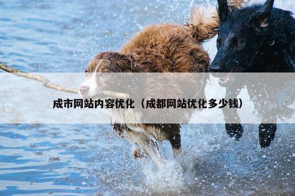成市网站内容优化（成都网站优化多少钱）