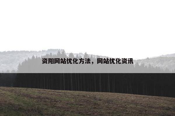 资阳网站优化方法，网站优化资讯