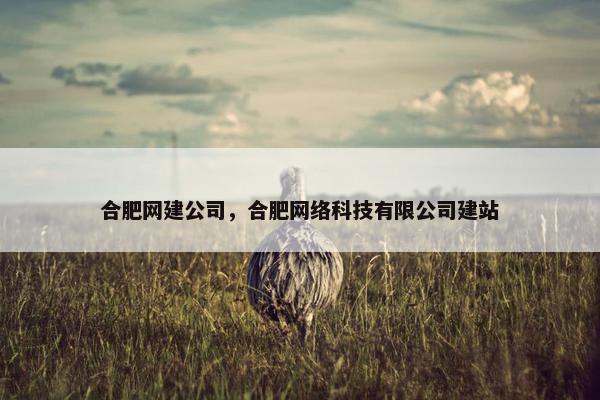 合肥网建公司，合肥网络科技有限公司建站
