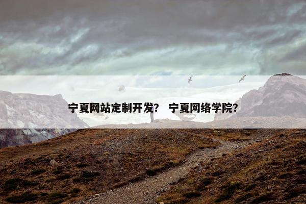宁夏网站定制开发？ 宁夏网络学院？