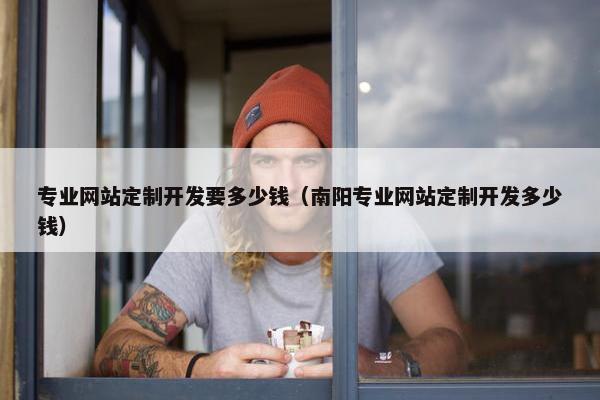 专业网站定制开发要多少钱（南阳专业网站定制开发多少钱）