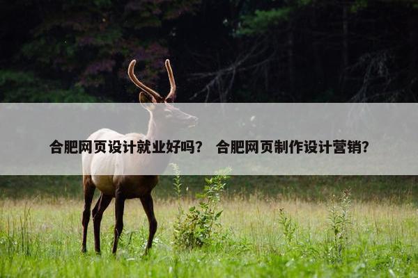 合肥网页设计就业好吗？ 合肥网页制作设计营销？