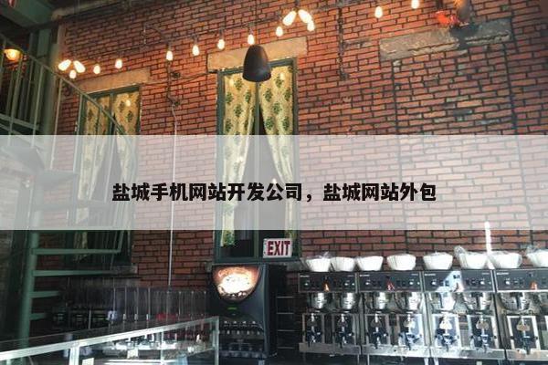 盐城手机网站开发公司，盐城网站外包