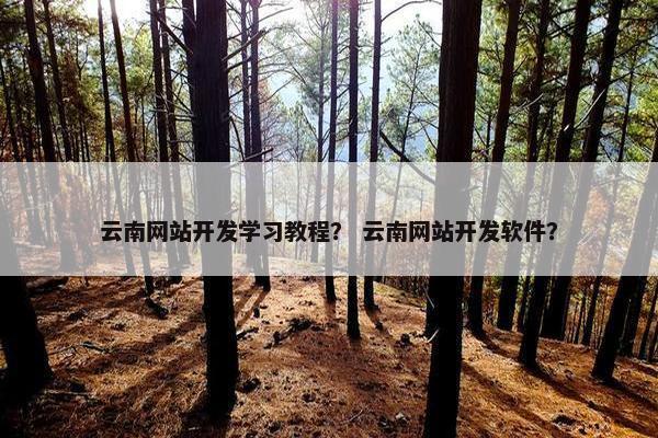 云南网站开发学习教程？ 云南网站开发软件？