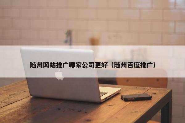 随州网站推广哪家公司更好（随州百度推广）