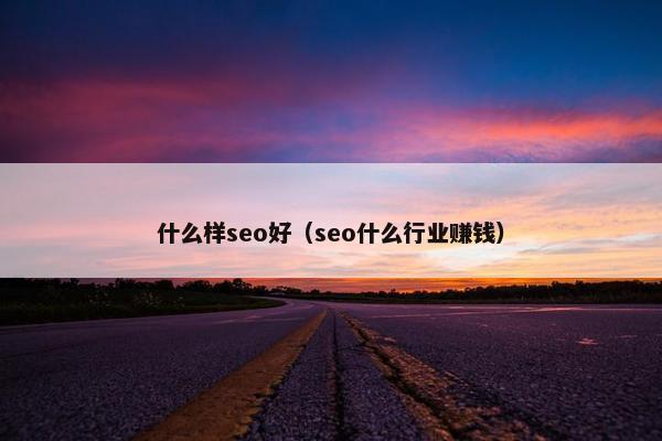 什么样seo好（seo什么行业赚钱）