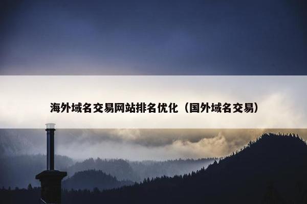 海外域名交易网站排名优化（国外域名交易）