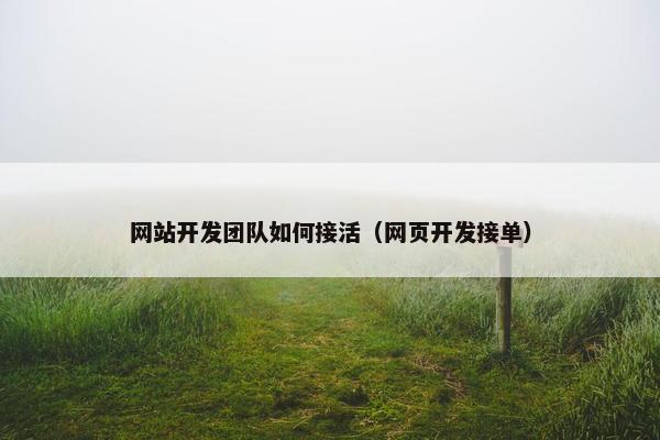 网站开发团队如何接活（网页开发接单）